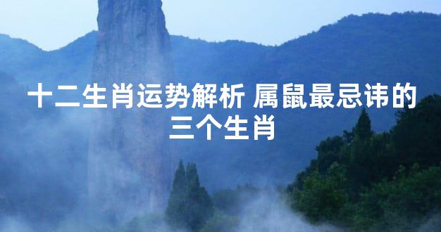 十二生肖运势解析 属鼠最忌讳的三个生肖